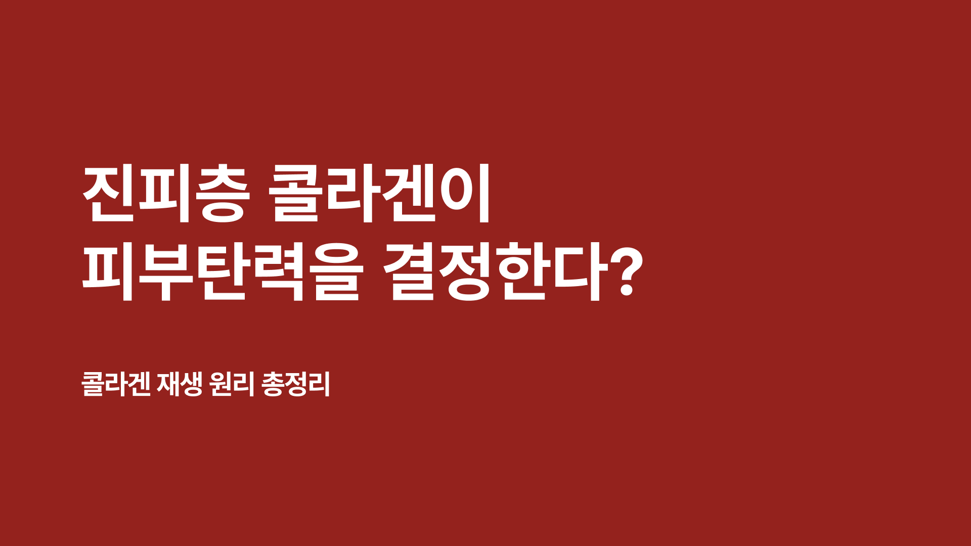 진피층 콜라겐이 피부 탄력을 결정한다? | 콜라겐 재생 원리 총정리