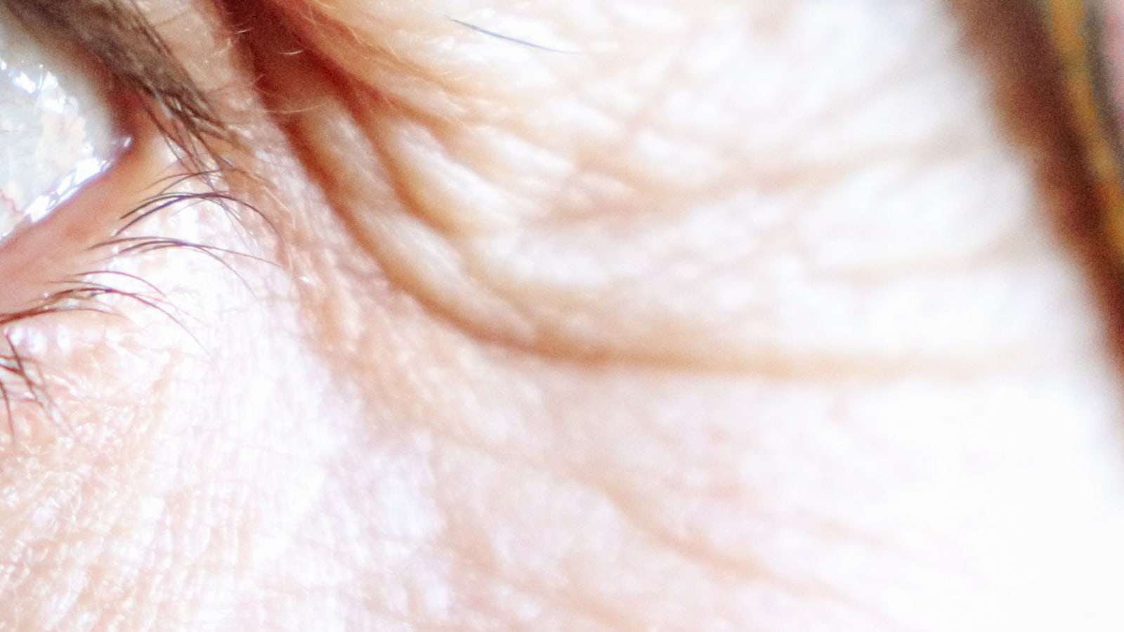 Close-up of mature skin at the outer corner of an eye, with fine lines running toward the temple